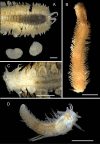 Figure 23.