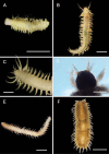 Figure 21.