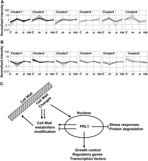 Figure 7.