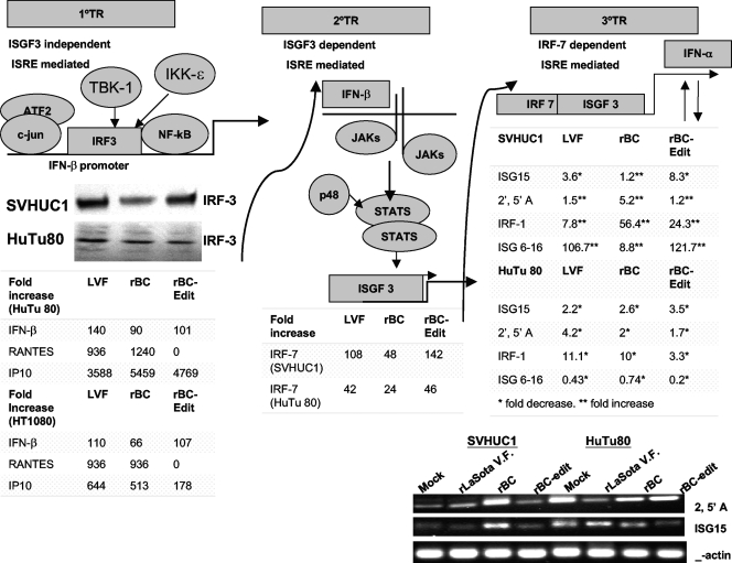 FIG. 4.