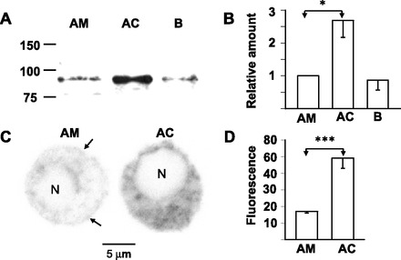 Fig. 8.