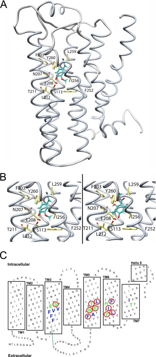 FIGURE 4.