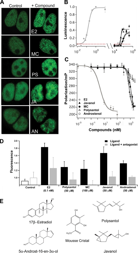 FIGURE 1.