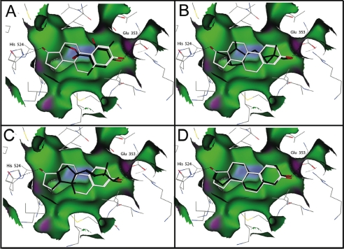 FIGURE 3.