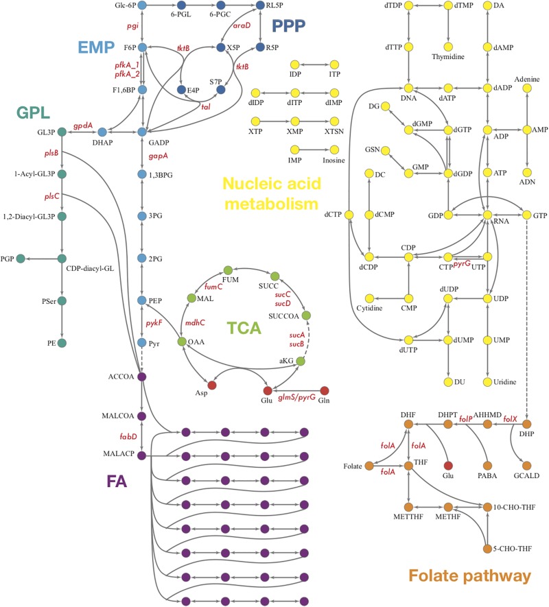 FIGURE 6