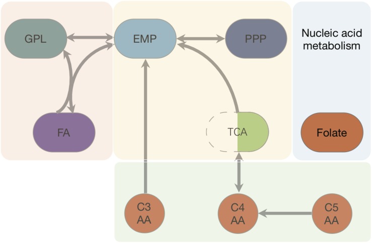 FIGURE 2