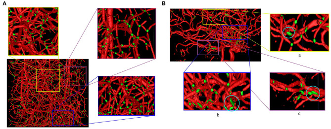 Figure 10