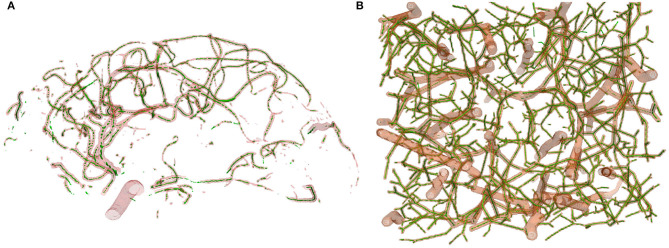 Figure 9