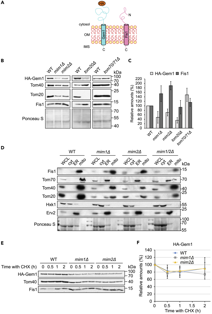 Figure 4