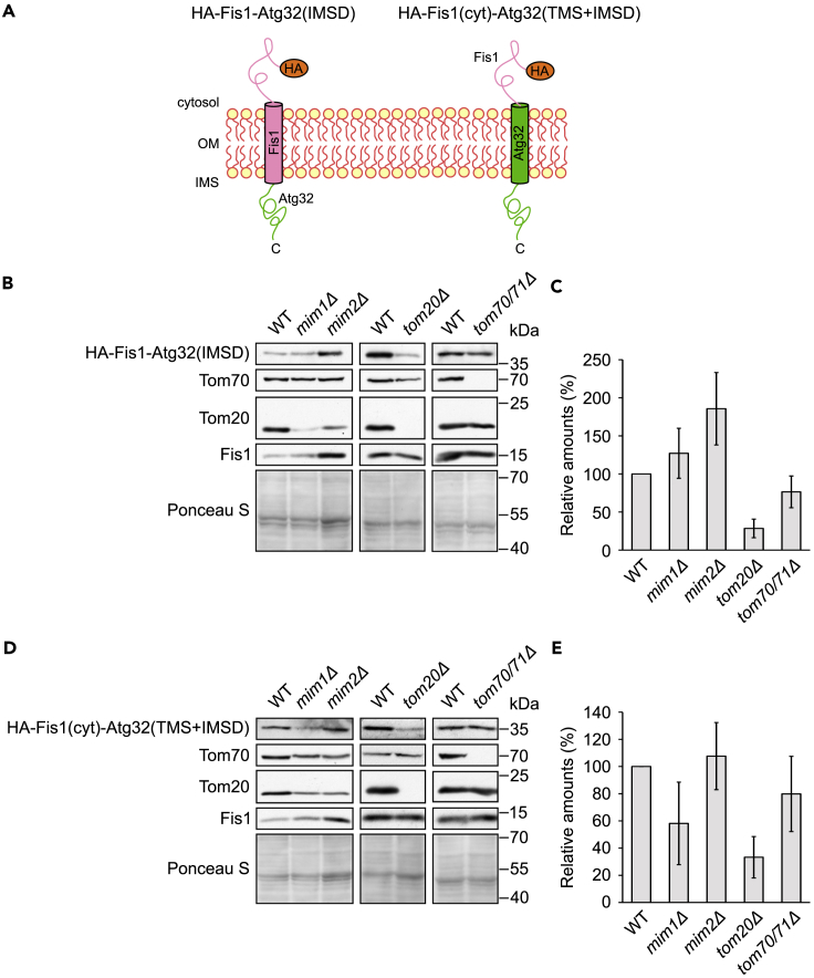 Figure 6