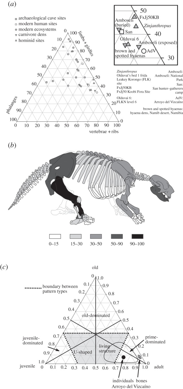 Figure 3.