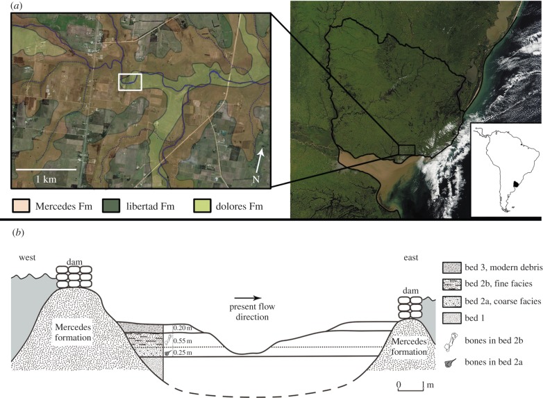 Figure 1.