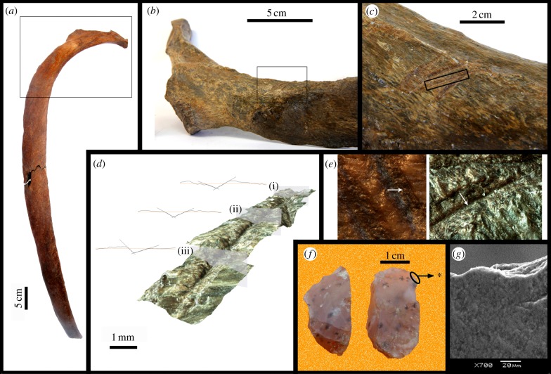 Figure 4.