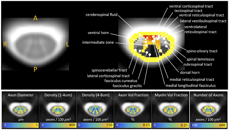 Figure 6.