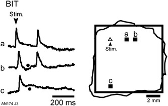 Fig. 3