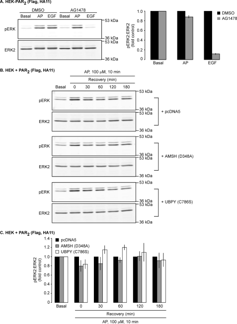 FIGURE 10.