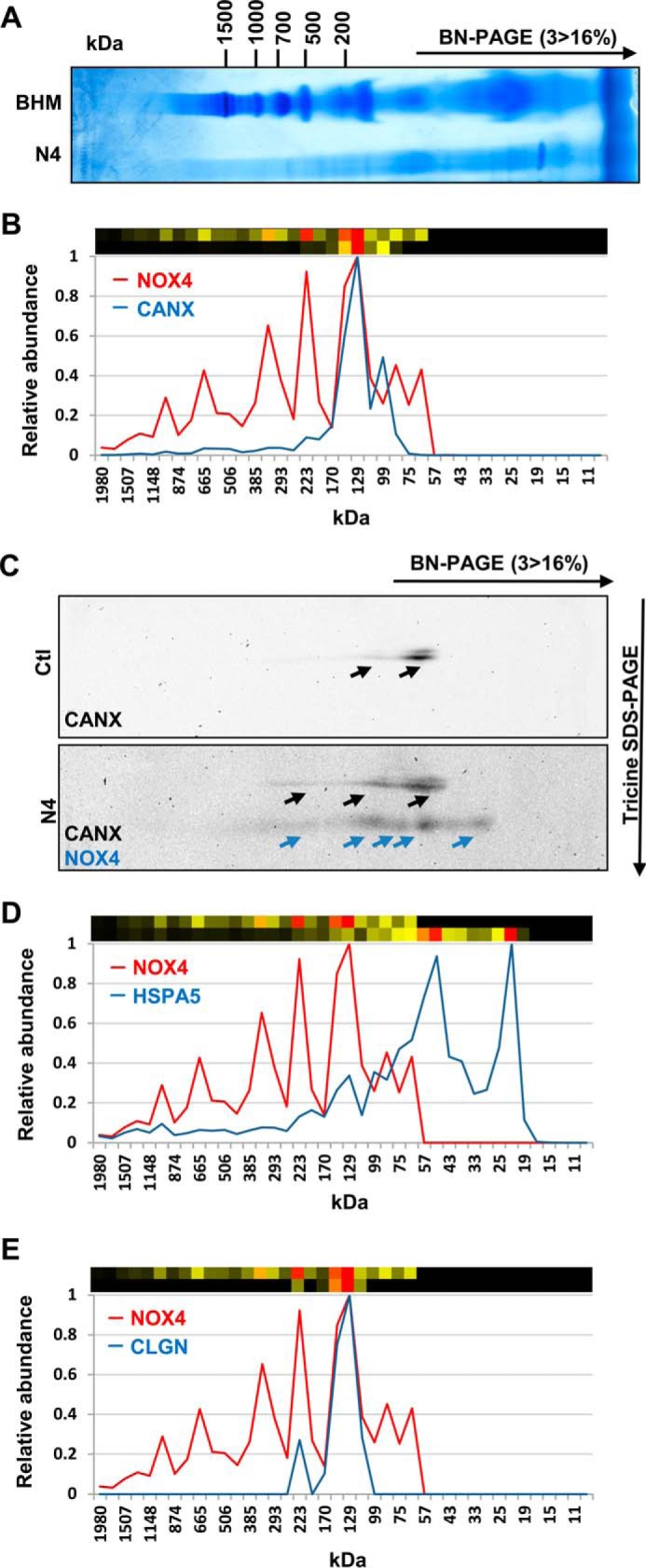 FIGURE 4.