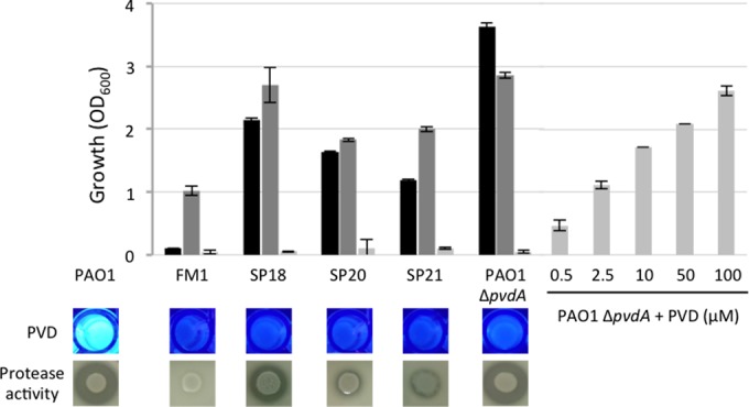 FIG 3