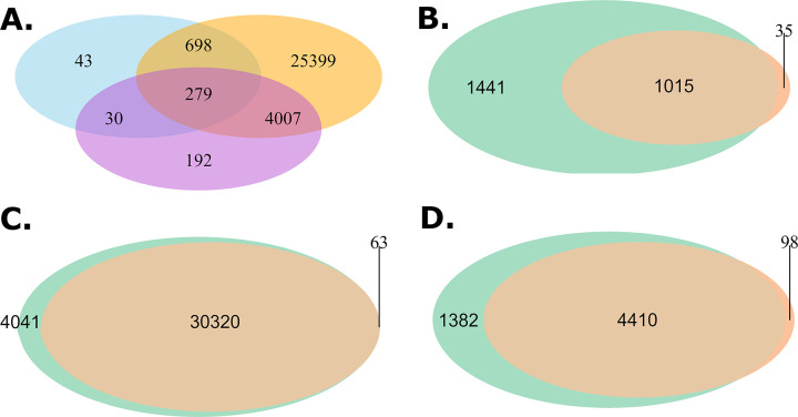 Fig 5