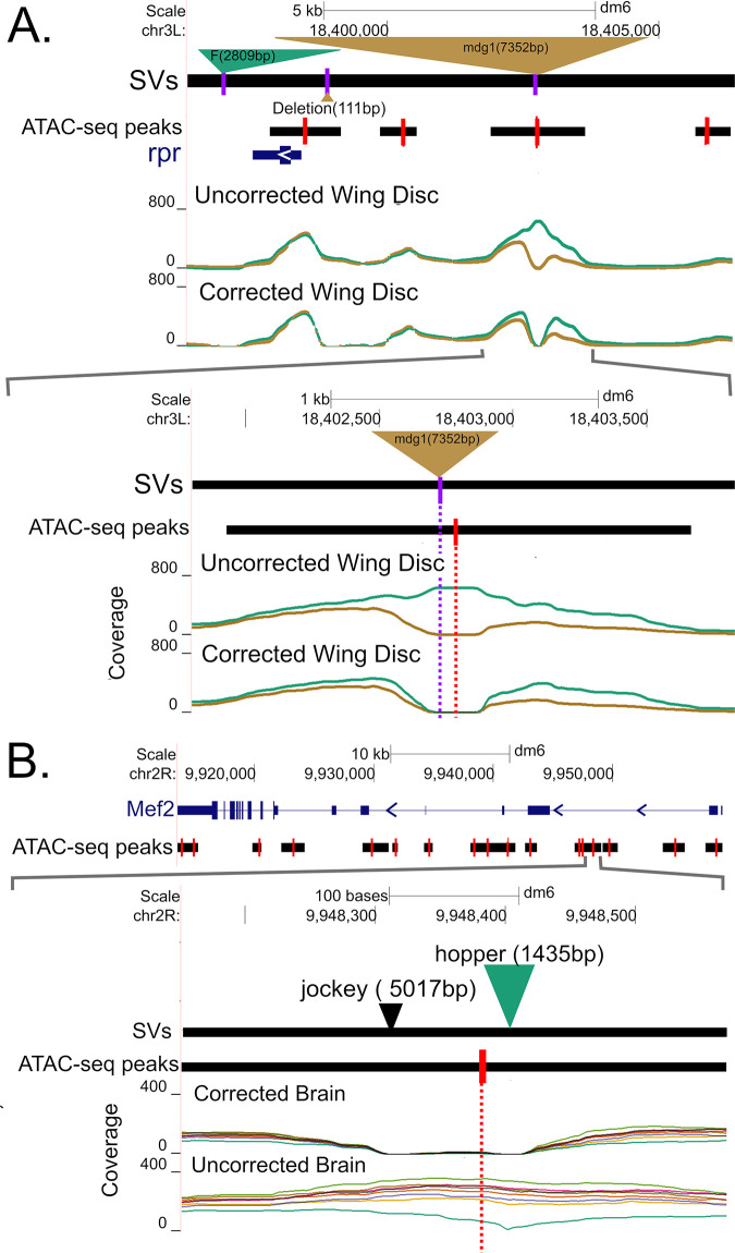 Fig 4