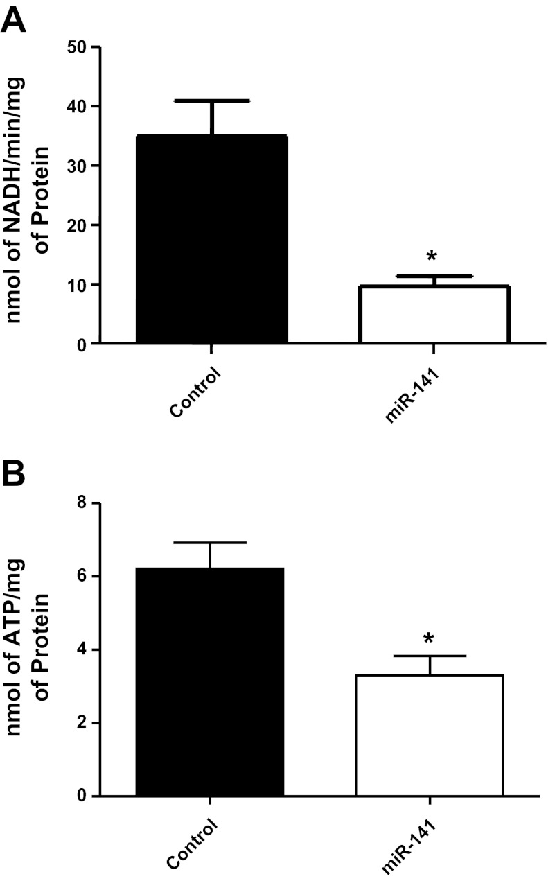 Fig. 8.