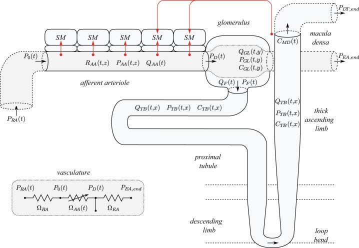 Fig. 1.