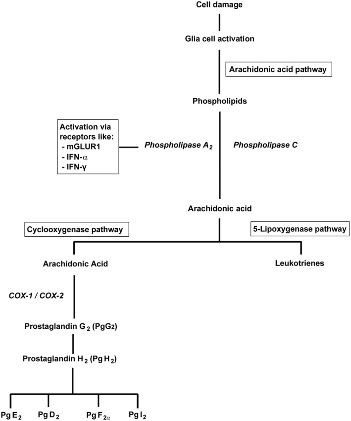 FIGURE 1