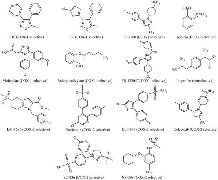 FIGURE 3