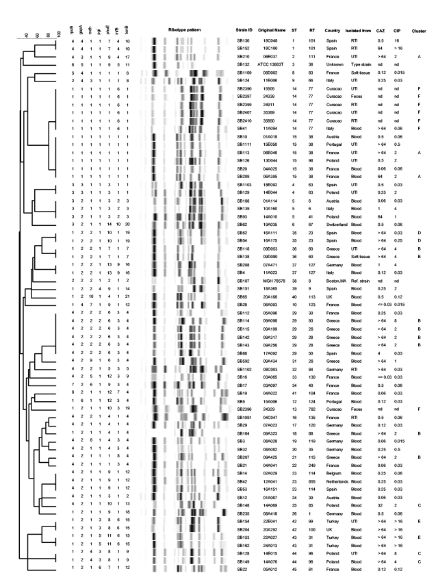 FIG. 1.