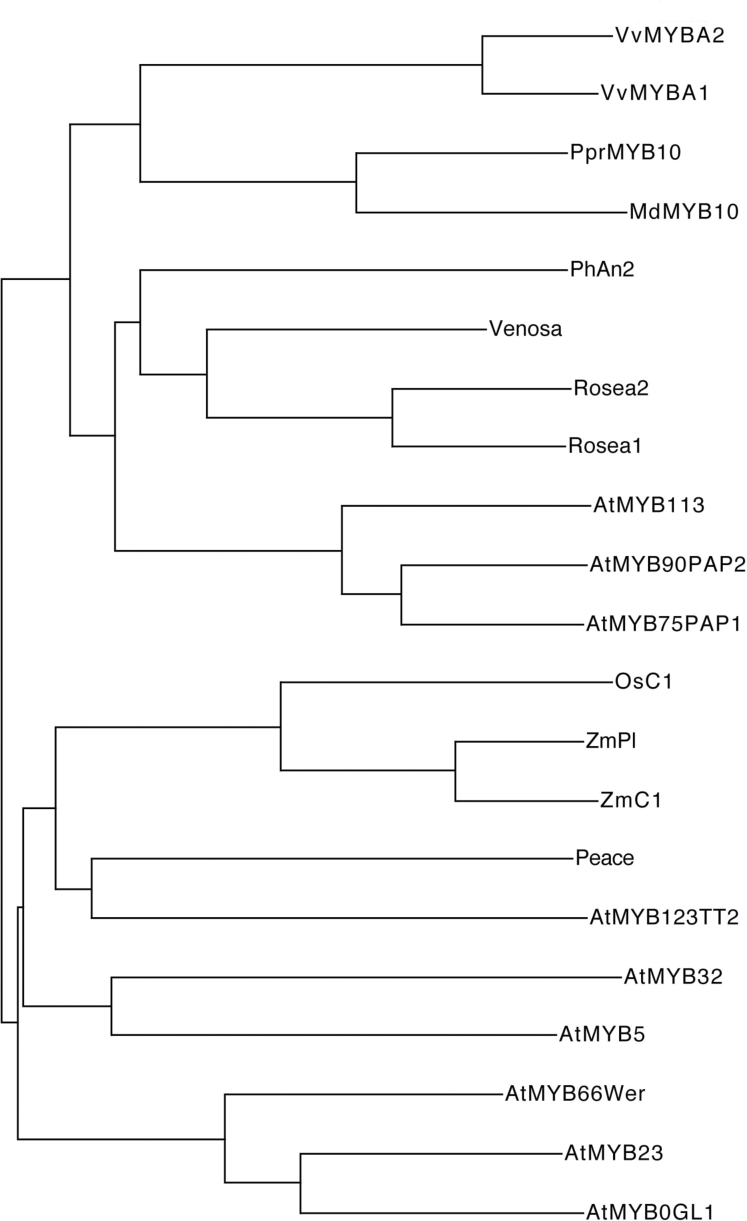 Fig. 9.