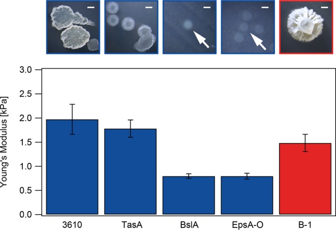 FIG 2