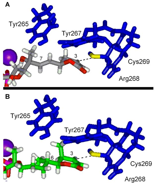 Figure 12