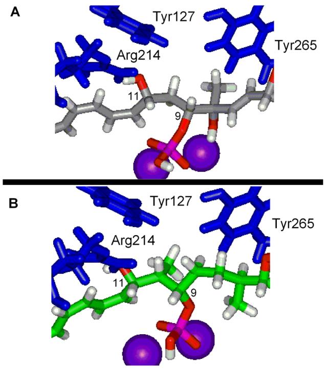 Figure 13