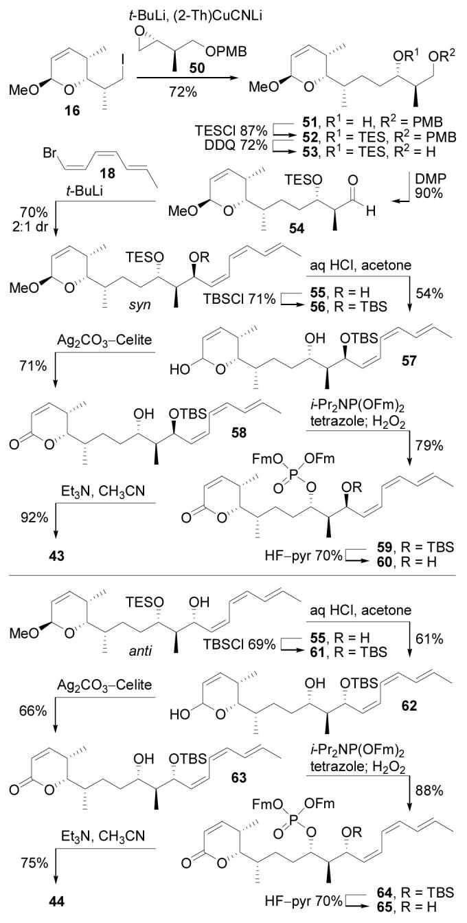 Scheme 7