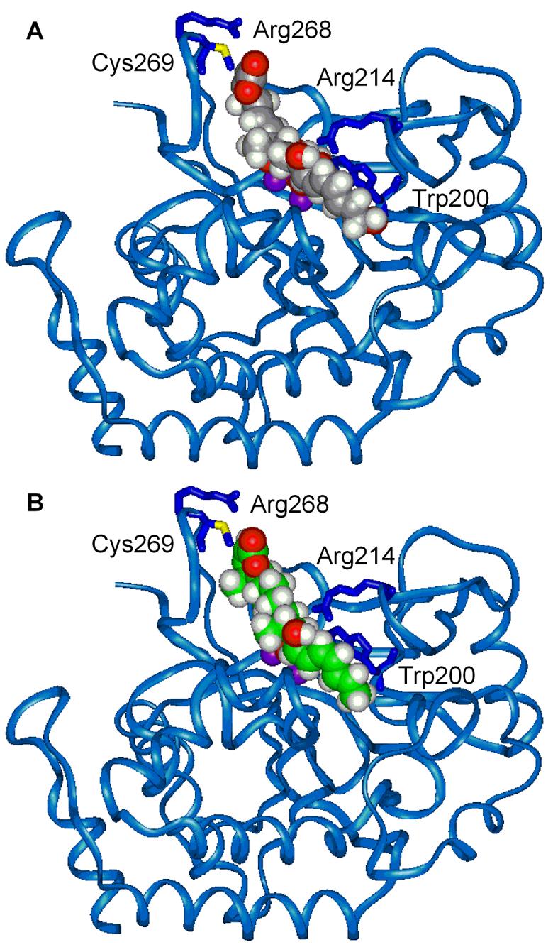 Figure 11