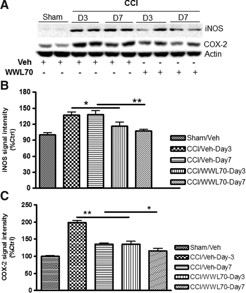 FIG. 7.