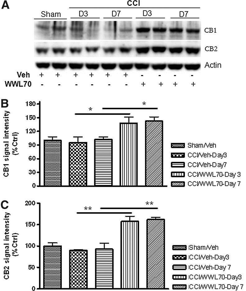 FIG. 10.