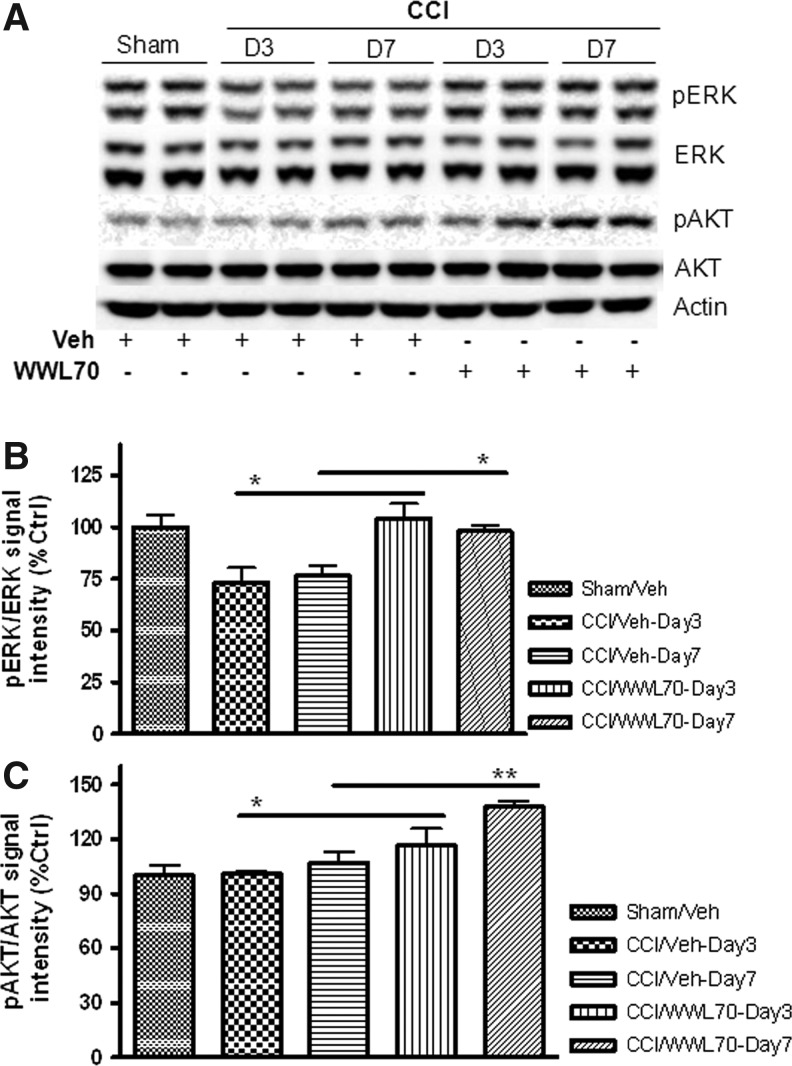 FIG. 11.