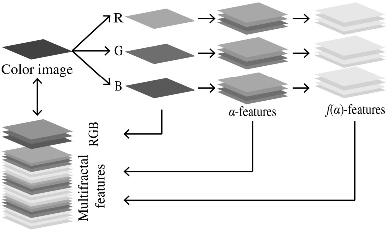 Fig. 4