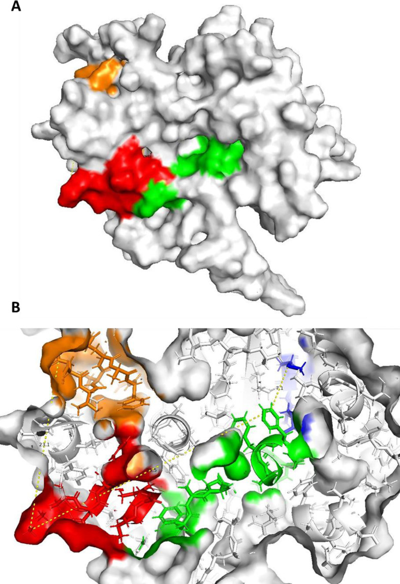 Fig. 3