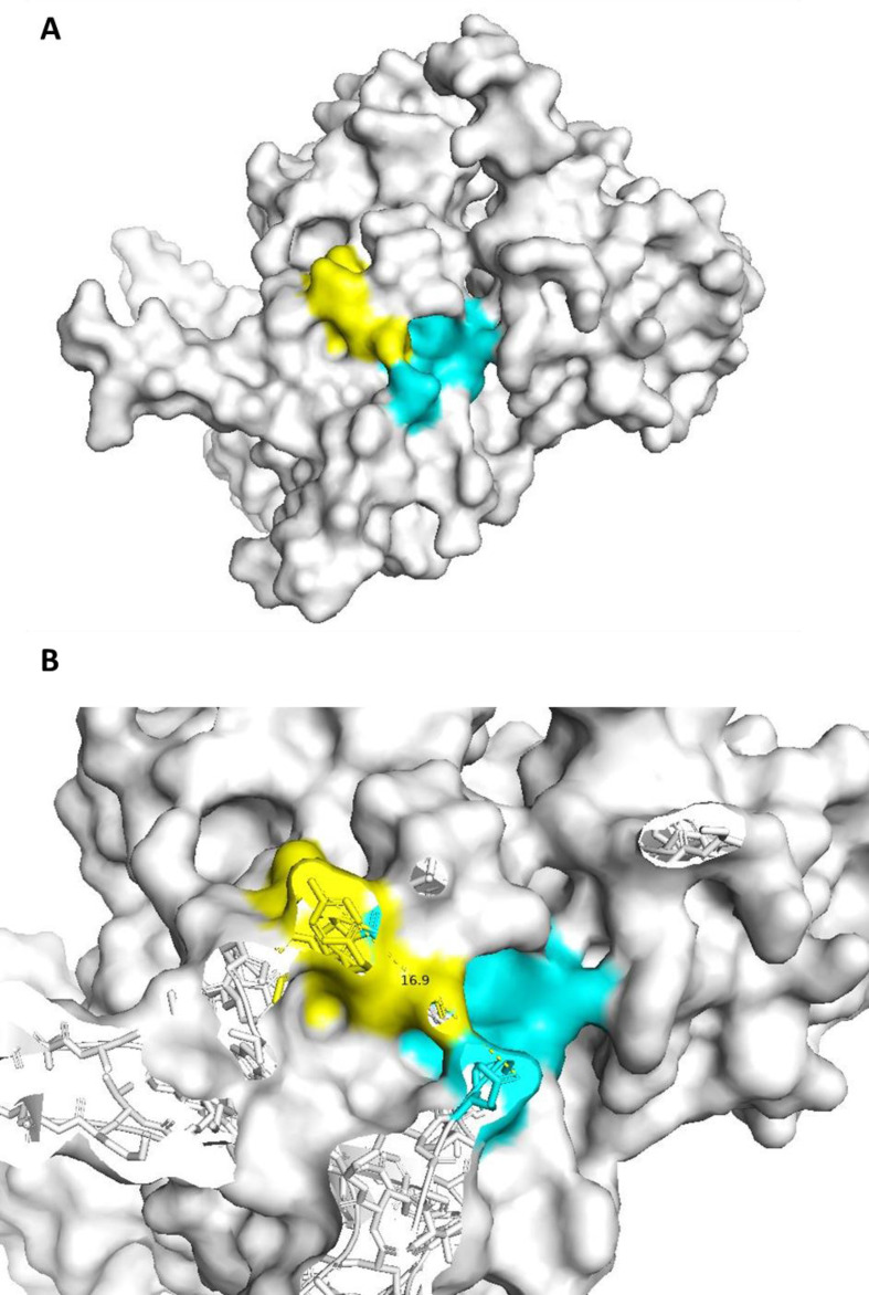 Fig. 2