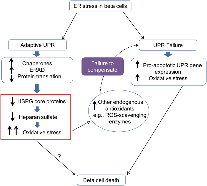 Fig 10