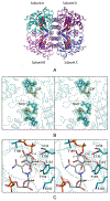 Figure 6: