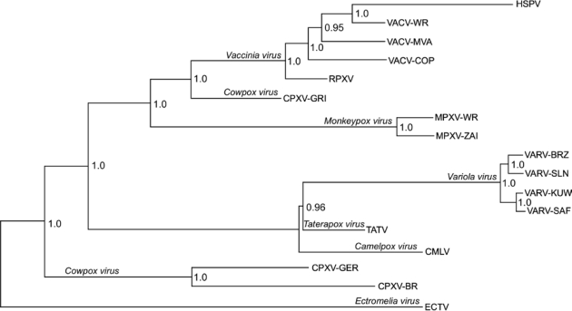 Figure 6.