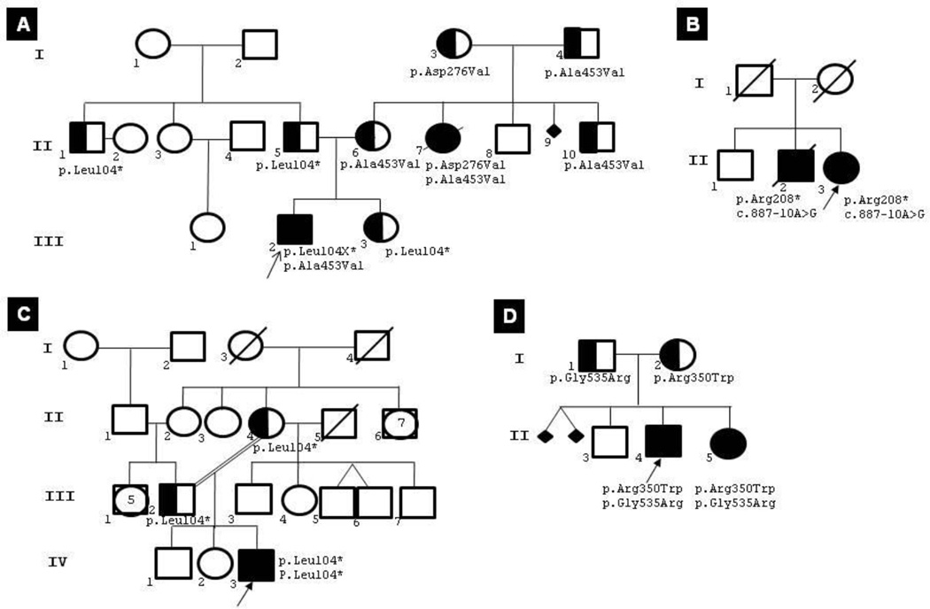 Fig. 1