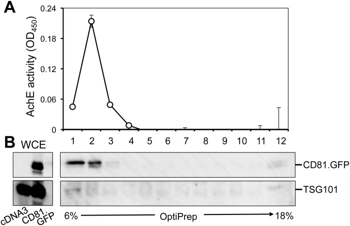 Fig 9