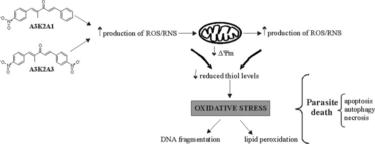 FIG 13