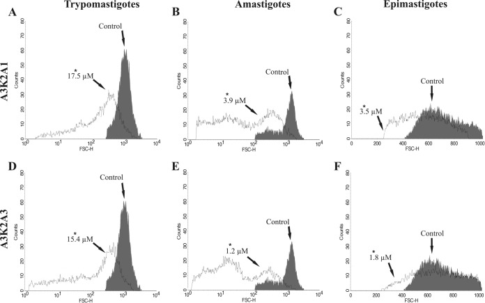 FIG 11