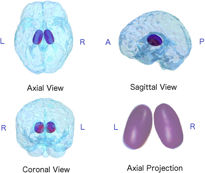 Fig. 3