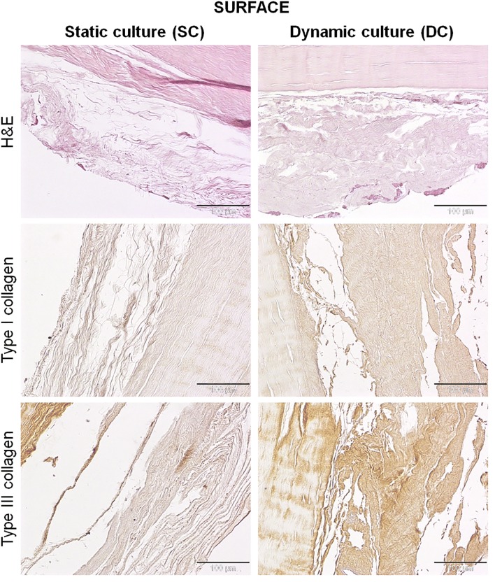 Figure 5